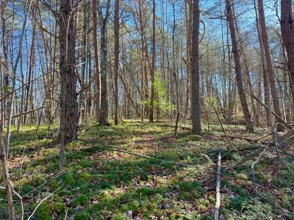20.78 Ac B. Armstrong Lane Monterey TN 38574
