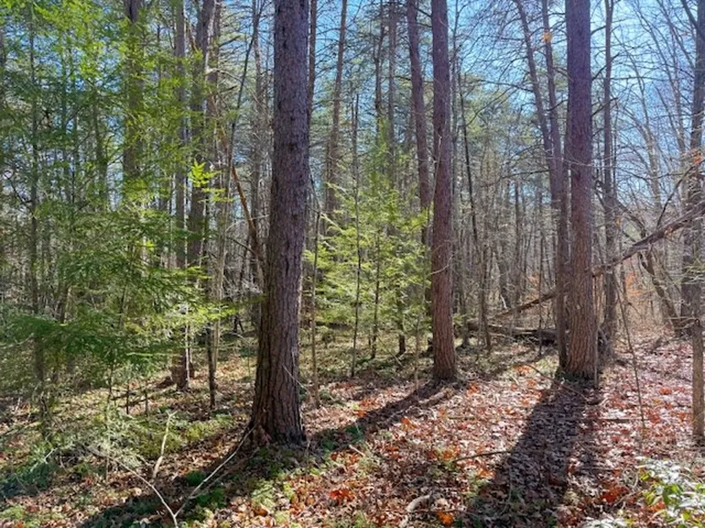 20.78 Ac B. Armstrong Lane Monterey TN 38574