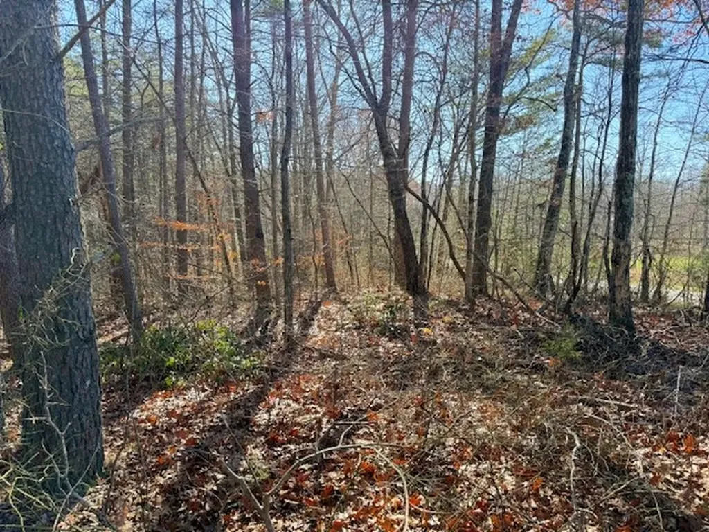 20.78 Ac B. Armstrong Lane Monterey TN 38574