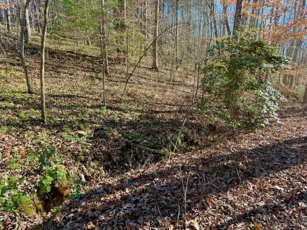 20.78 Ac B. Armstrong Lane Monterey TN 38574