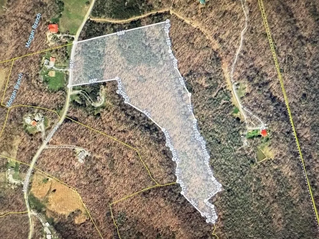 20.78 Ac B. Armstrong Lane Monterey TN 38574