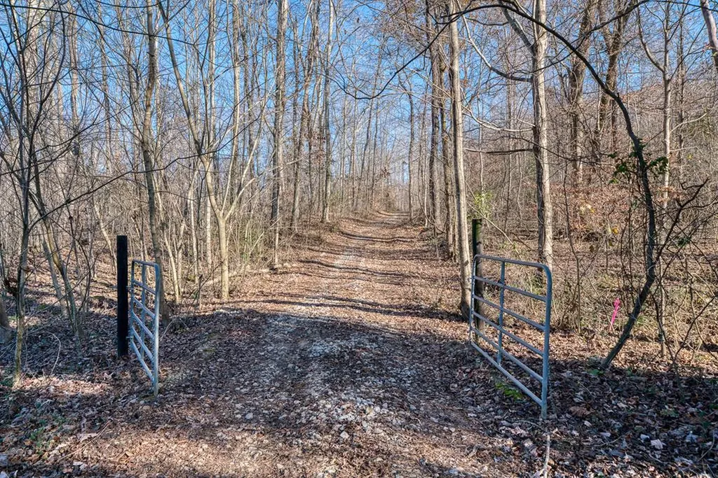 54.88 Ac Nelson Lane Rickman TN 38580