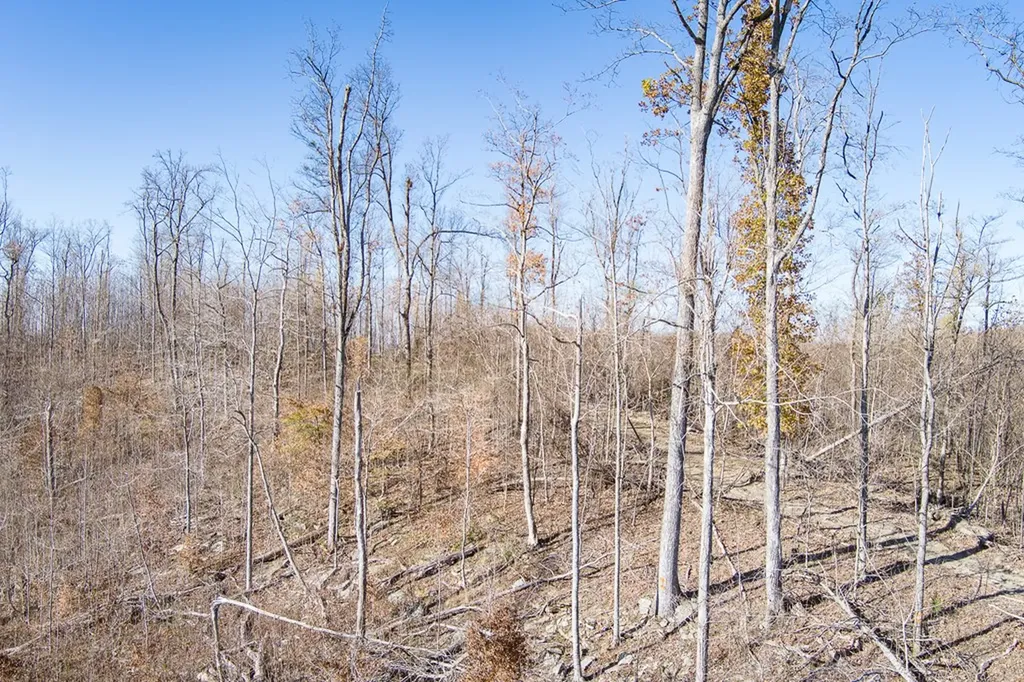 54.88 Ac Nelson Lane Rickman TN 38580