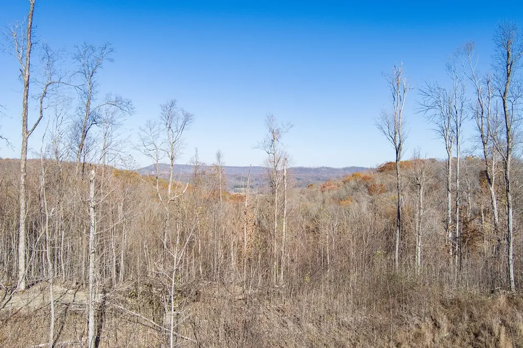 54.88 Ac Nelson Lane Rickman TN 38580