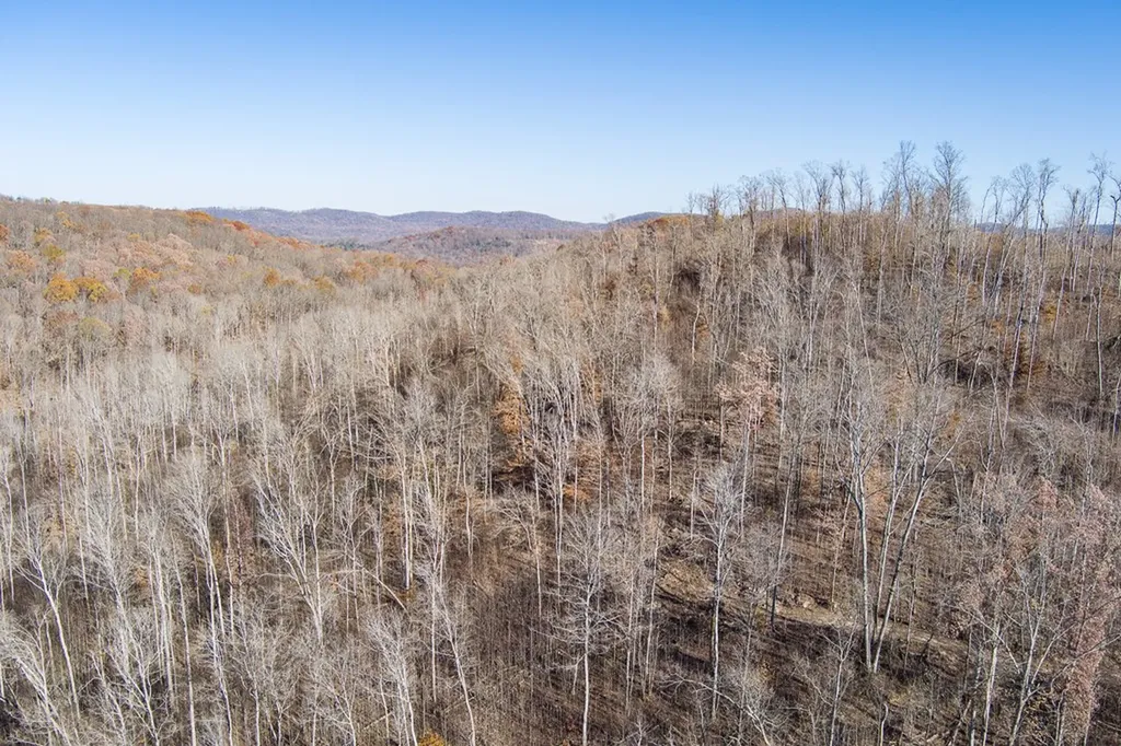 54.88 Ac Nelson Lane Rickman TN 38580
