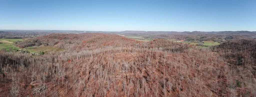 54.88 Ac Nelson Lane Rickman TN 38580