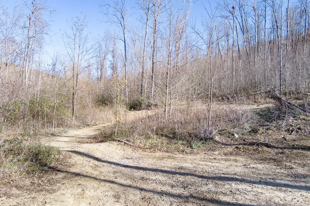 54.88 Ac Nelson Lane Rickman TN 38580
