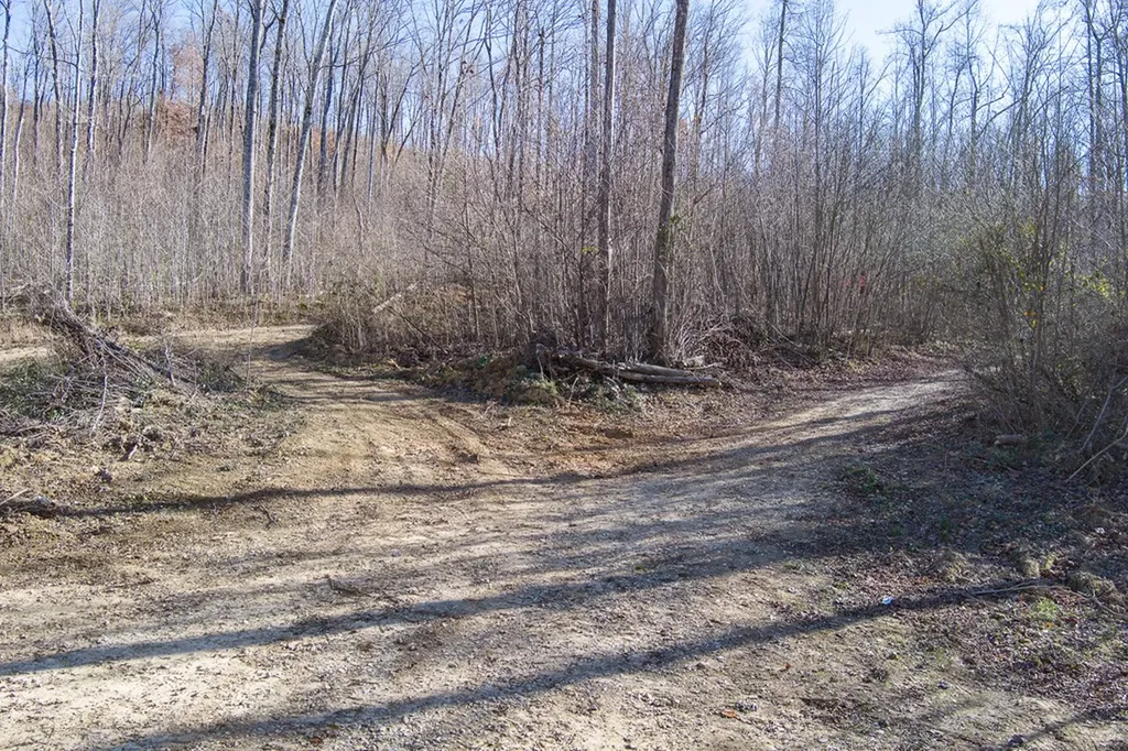 54.88 Ac Nelson Lane Rickman TN 38580
