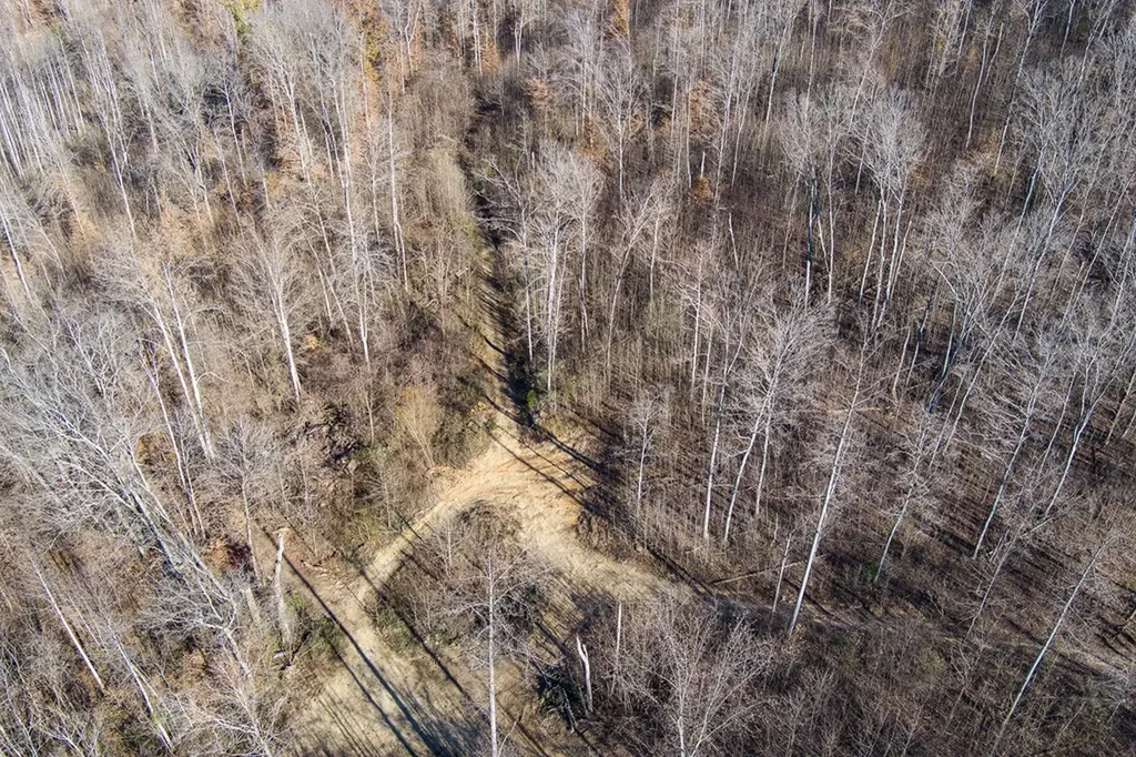 54.88 Ac Nelson Lane Rickman TN 38580