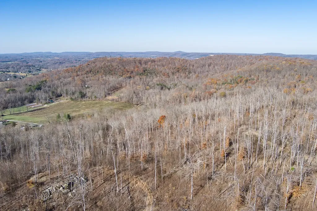 54.88 Ac Nelson Lane Rickman TN 38580