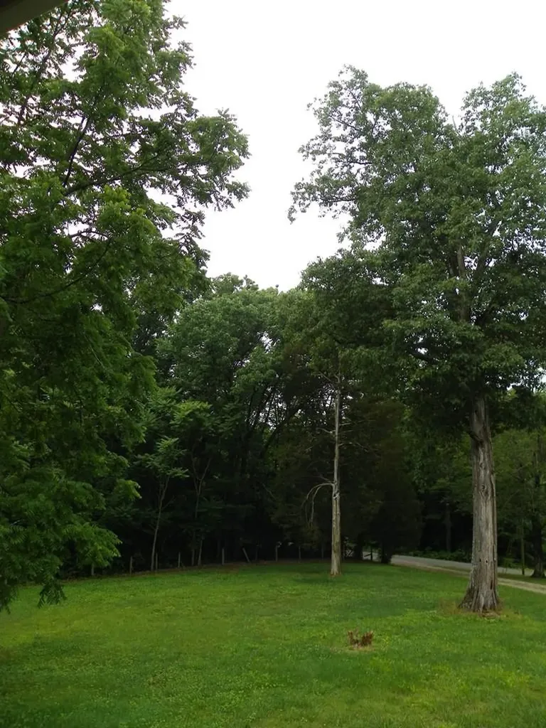 466 Creed Wright Road Walling TN 38587