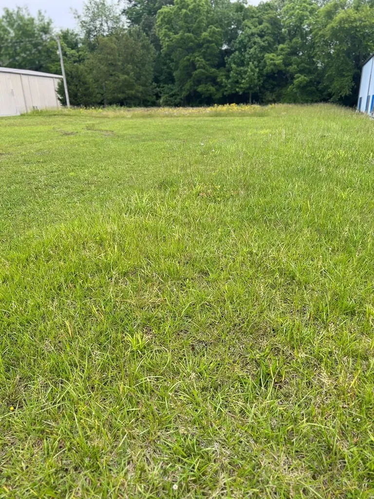 2001 N Willow Avenue Cookeville TN 38501