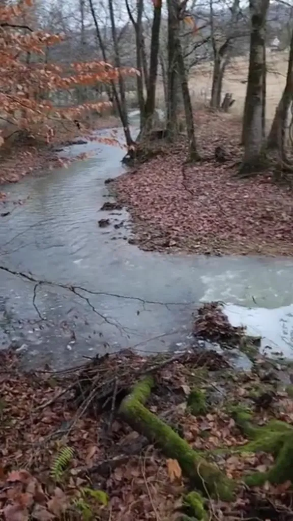 250 Justin Lane Mcminnville TN 37110