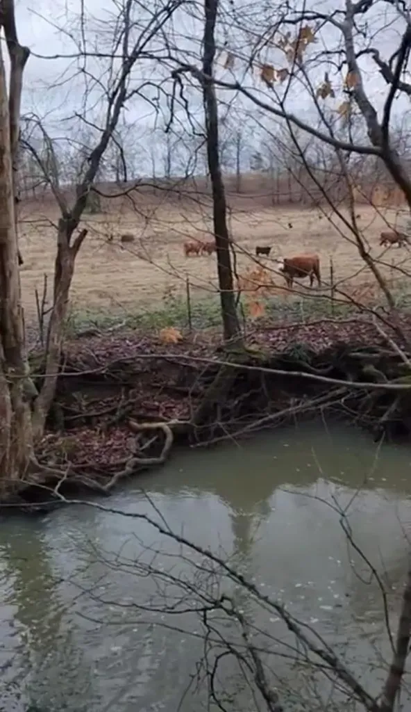 250 Justin Lane Mcminnville TN 37110