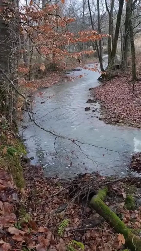 250 Justin Lane Mcminnville TN 37110