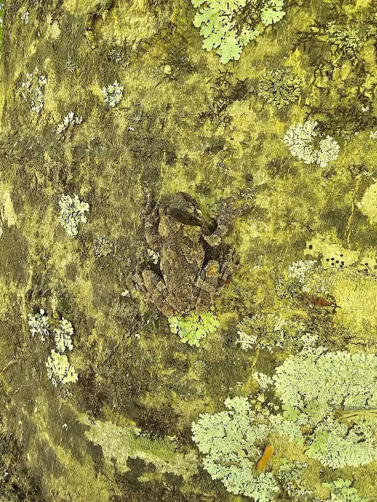 250 Justin Lane Mcminnville TN 37110