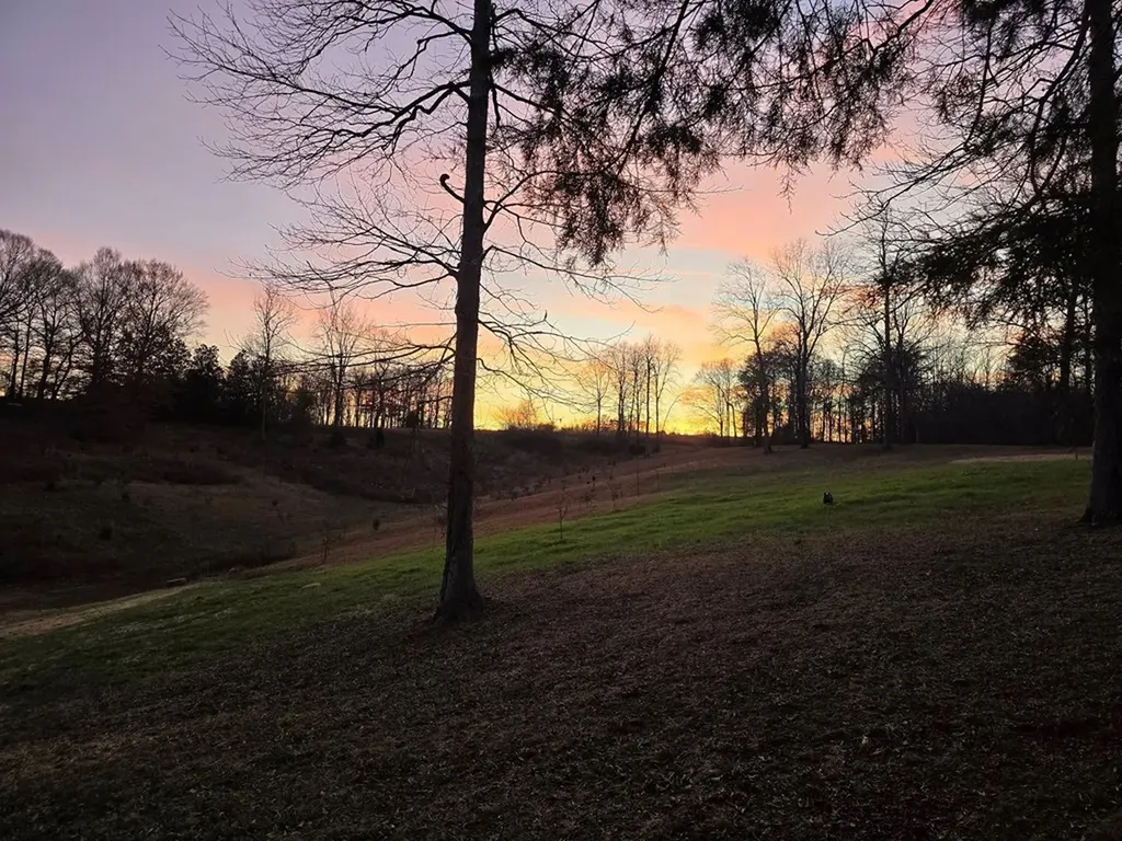 250 Justin Lane Mcminnville TN 37110