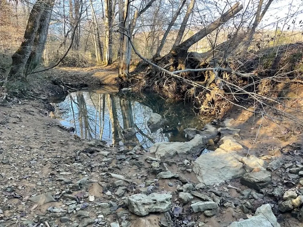 250 Justin Lane Mcminnville TN 37110