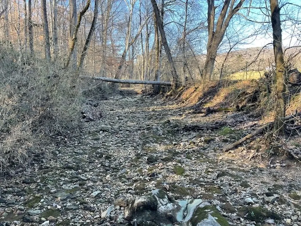 250 Justin Lane Mcminnville TN 37110