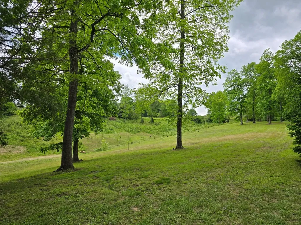 250 Justin Lane Mcminnville TN 37110