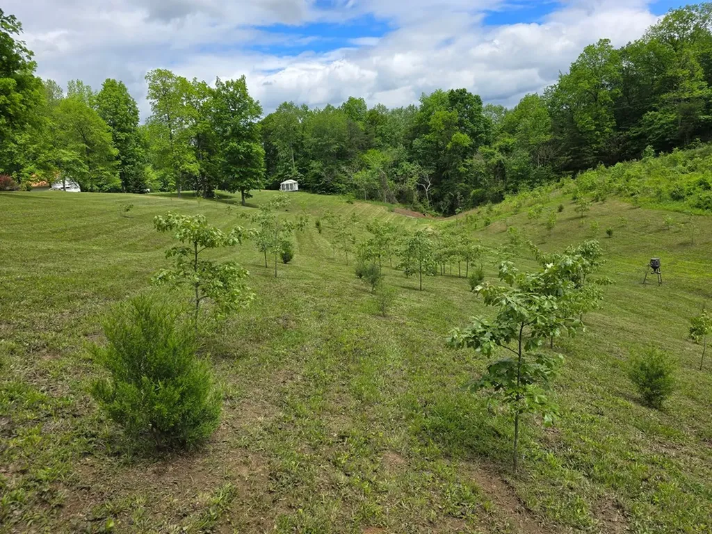 250 Justin Lane Mcminnville TN 37110