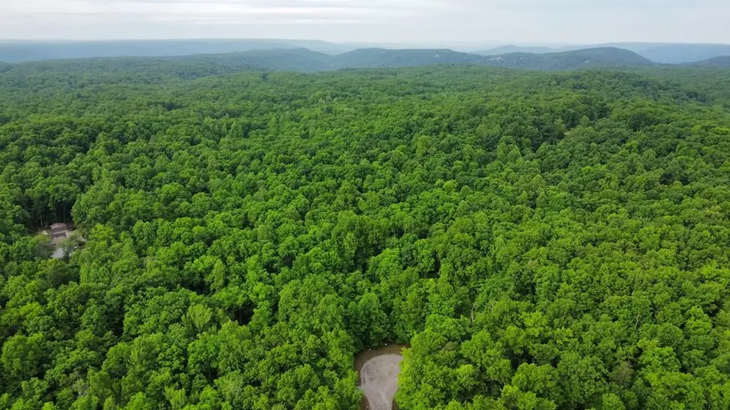 Lot #6 Icy Place Monterey TN 38574
