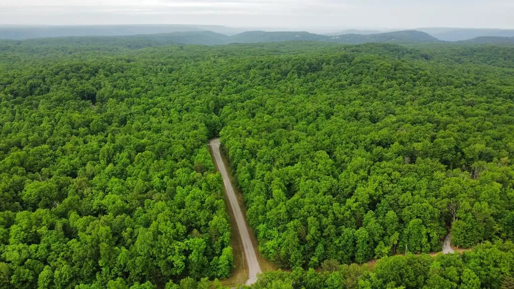 Lot #6 Icy Place Monterey TN 38574