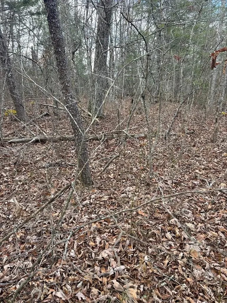 4127 Moccasin Lane Crossville TN 38572