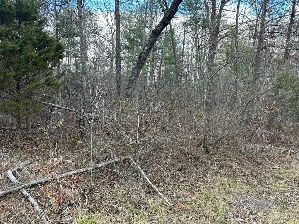 4127 Moccasin Lane Crossville TN 38572
