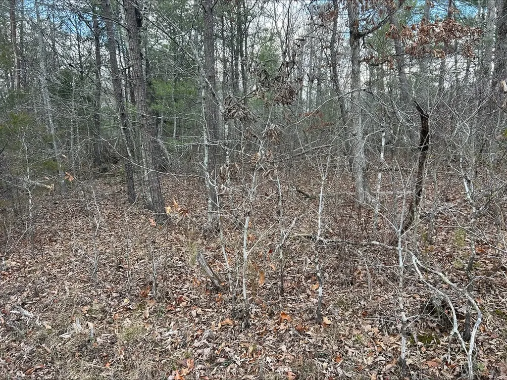 4127 Moccasin Lane Crossville TN 38572