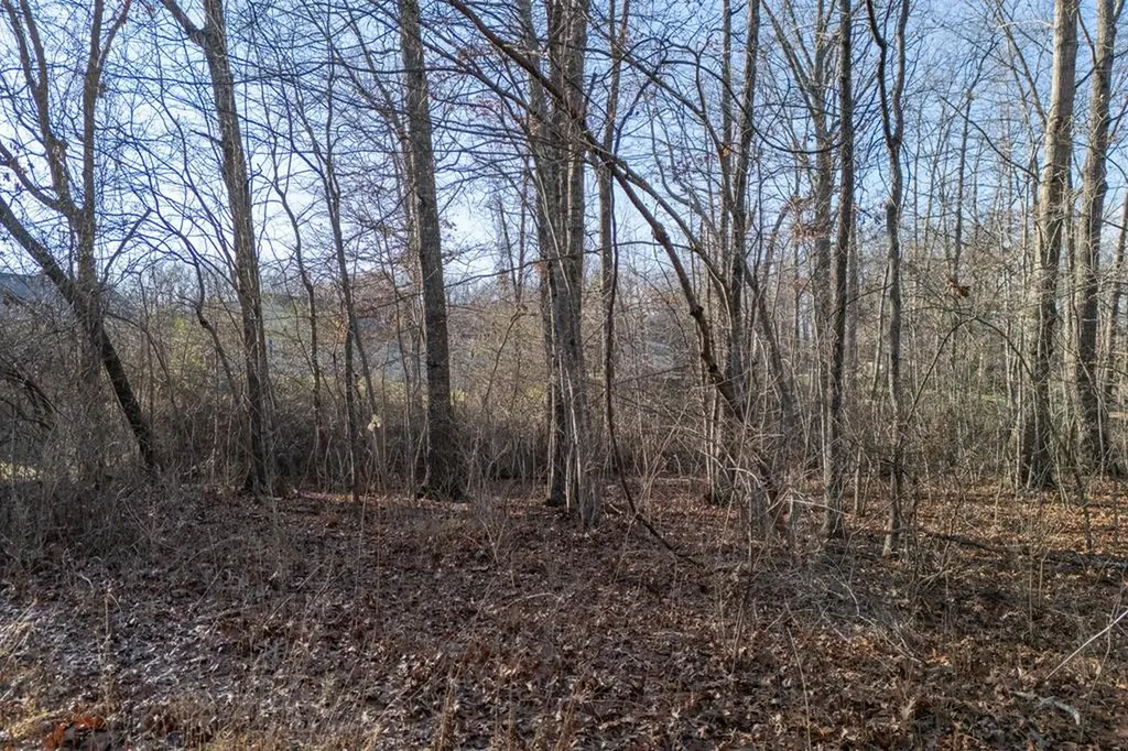 Lot 1736 Satsuma Drive Crossville TN 38555