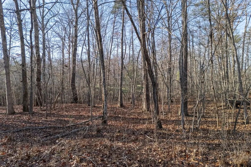 Lot 1736 Satsuma Drive Crossville TN 38555