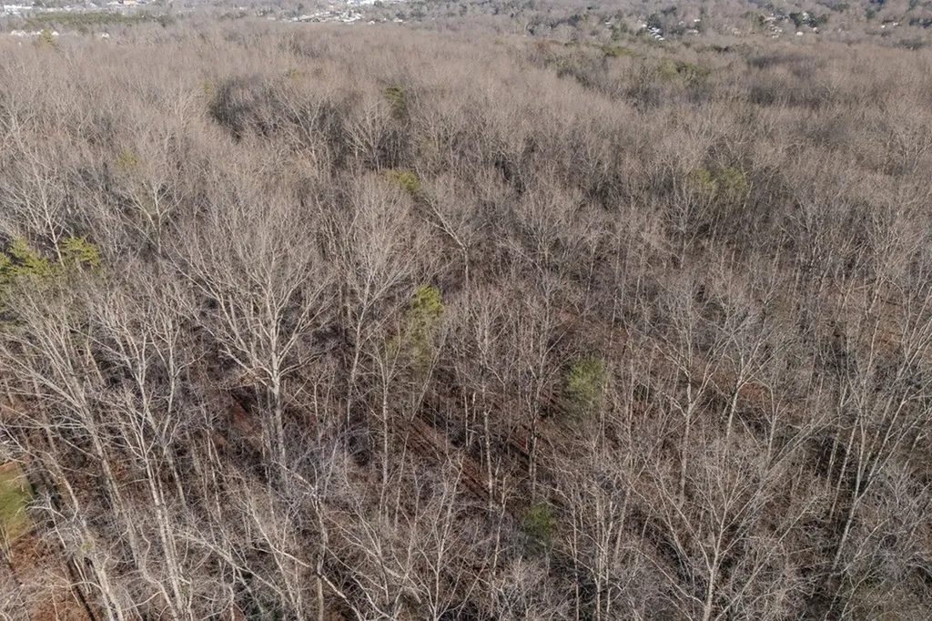 Lot 1736 Satsuma Drive Crossville TN 38555