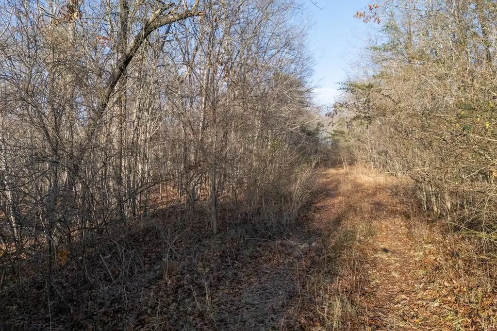 Lot 1735 Satsuma Drive Crossville TN 38555
