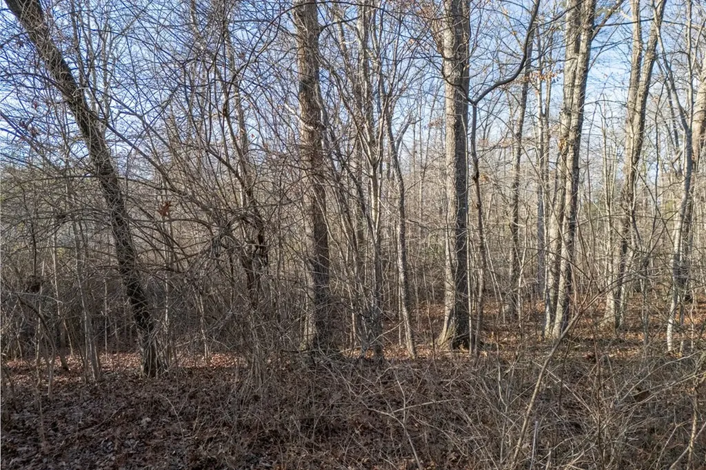 Lot 1735 Satsuma Drive Crossville TN 38555