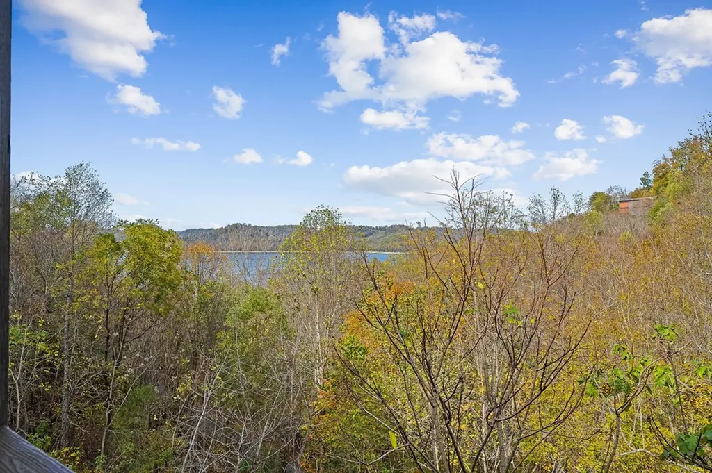 314 Floating Mill Road Silver Point TN 38582