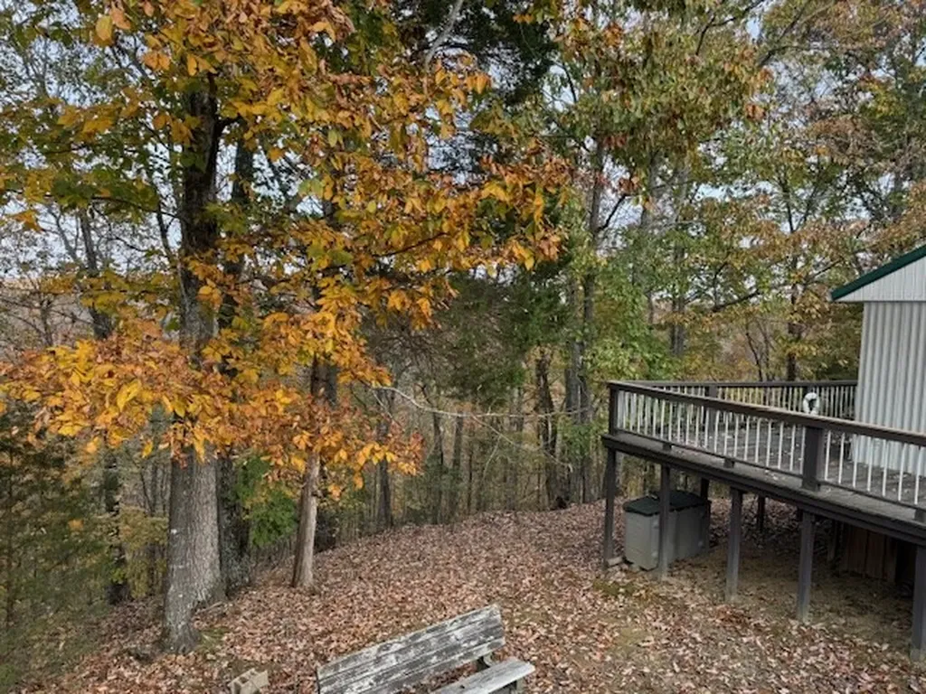 329 Ryan Road Celina TN 38551