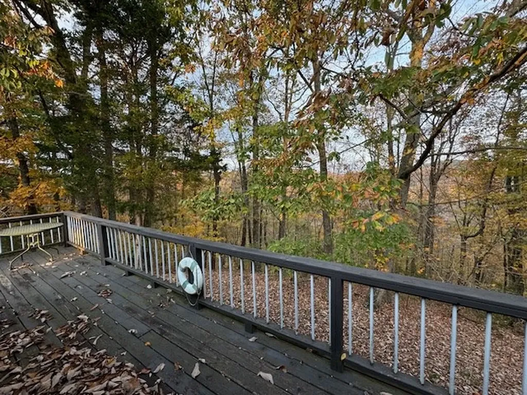 329 Ryan Road Celina TN 38551