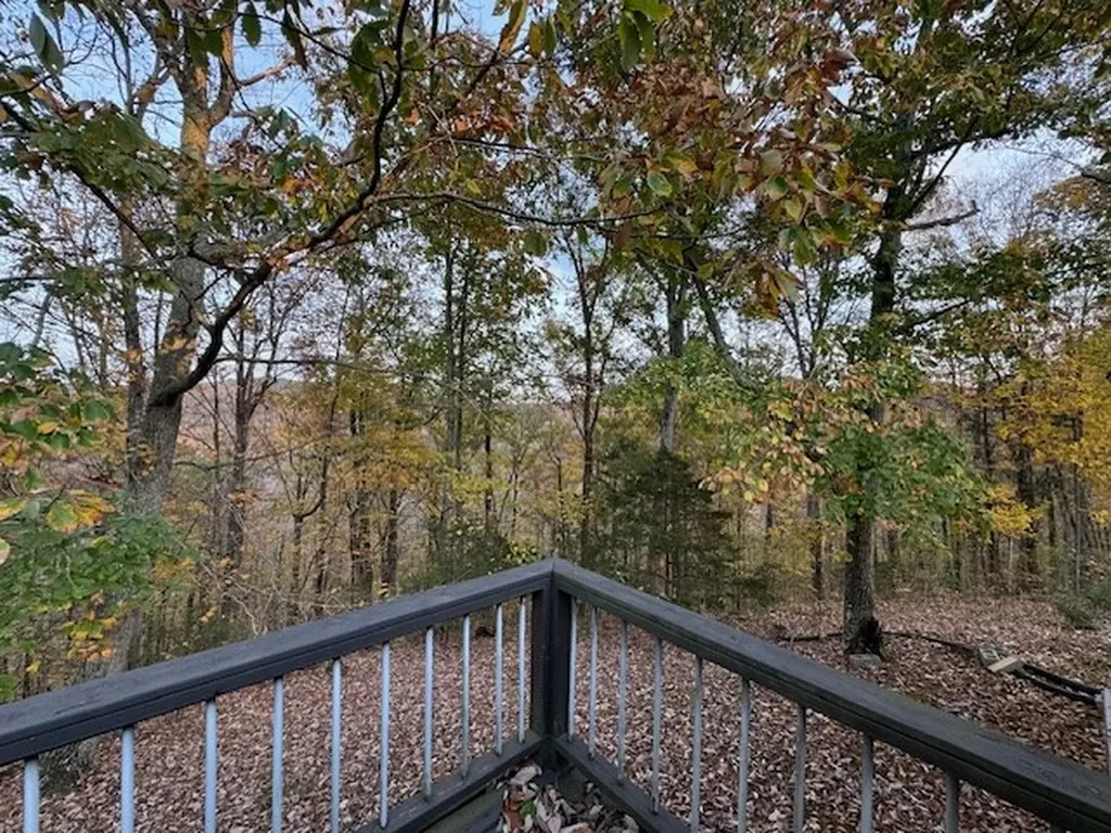 329 Ryan Road Celina TN 38551