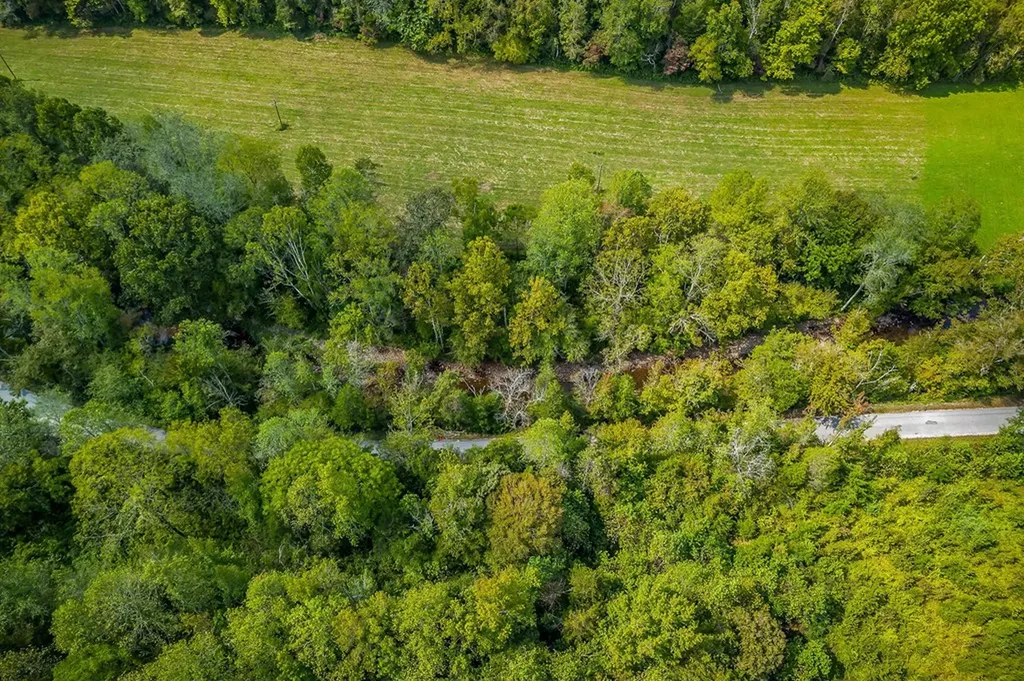 461 Shiloh Road Crawford TN 38554