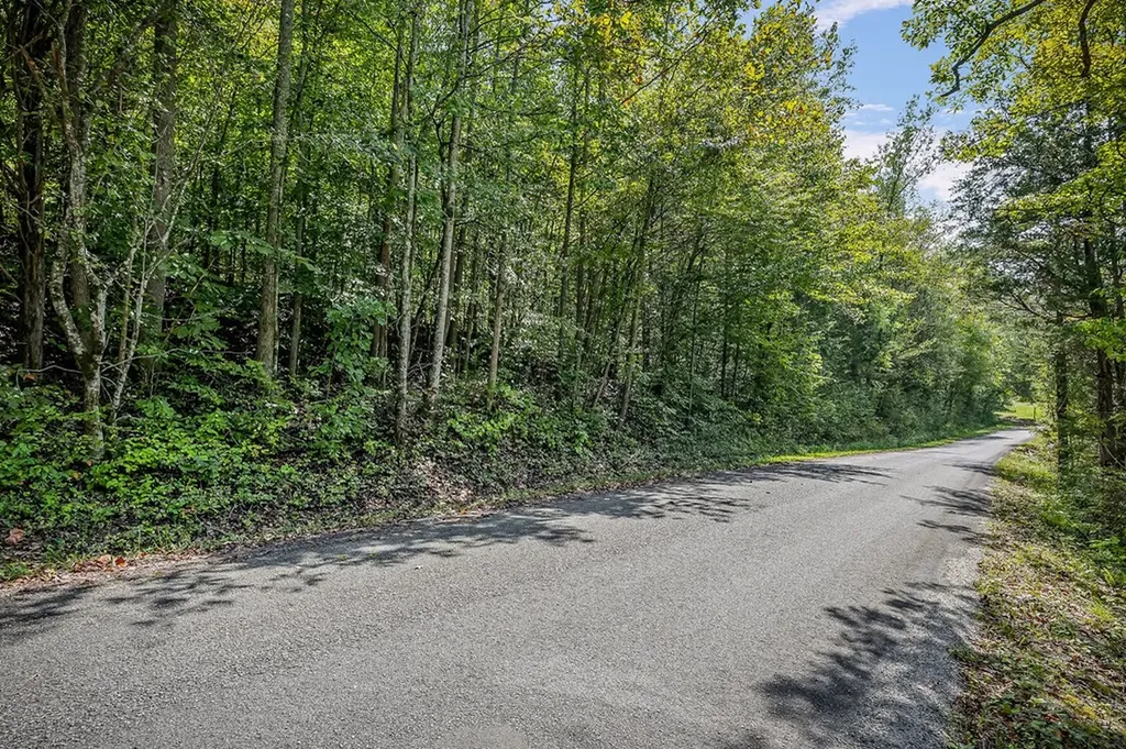 461 Shiloh Road Crawford TN 38554