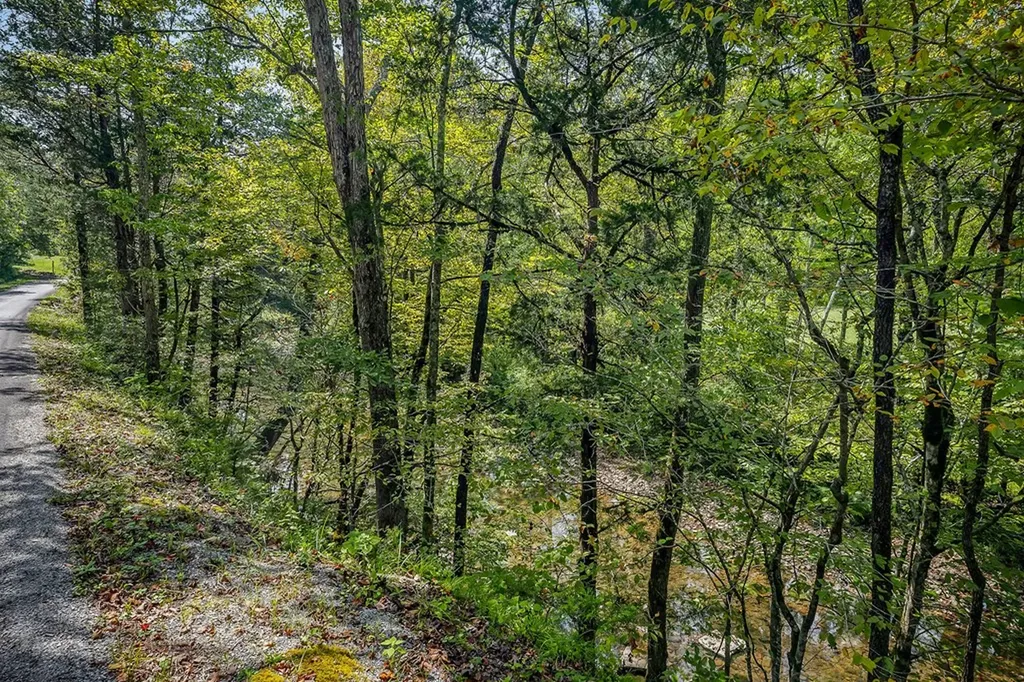 461 Shiloh Road Crawford TN 38554