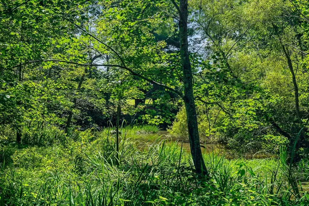 268 Plateau Road Crossville TN 38571