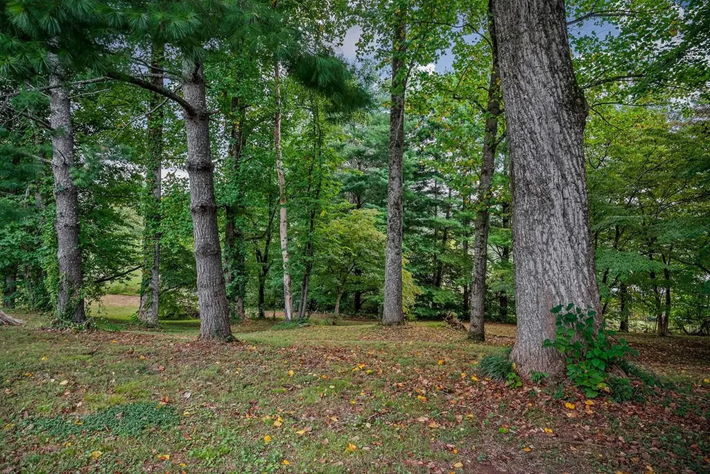 403 Woodland Street Livingston TN 38570