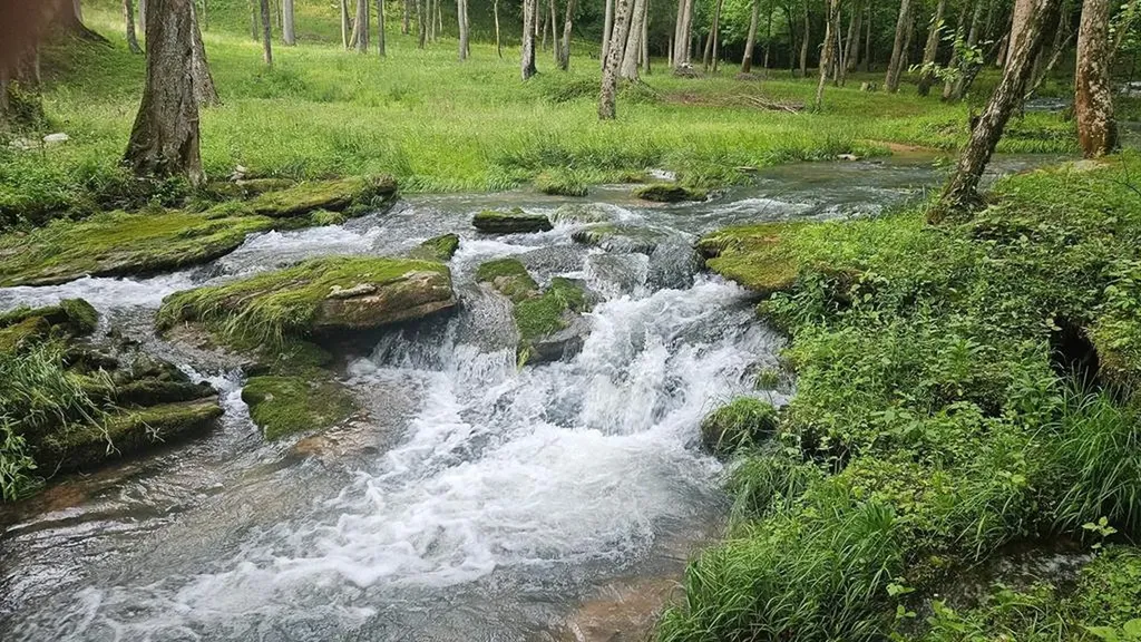 138 Falls View Road Sparta TN 38583