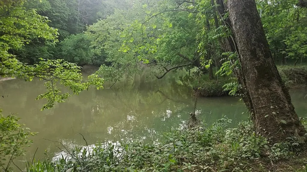 138 Falls View Road Sparta TN 38583
