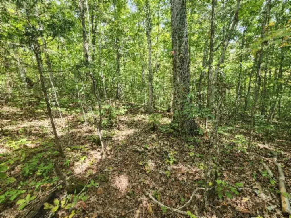 16.22AC Glenobey Road Jamestown TN 38556