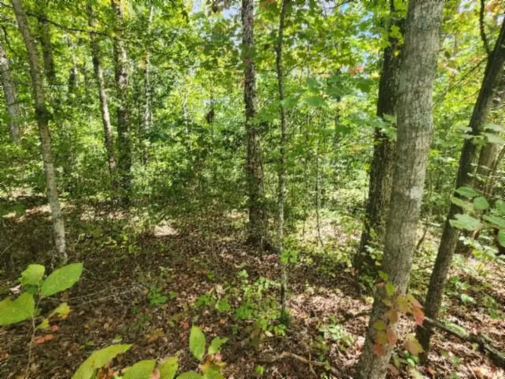 16.22AC Glenobey Road Jamestown TN 38556