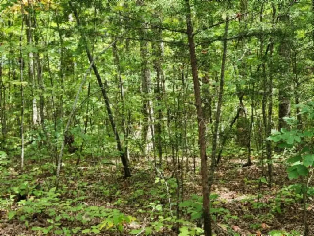 16.22AC Glenobey Road Jamestown TN 38556