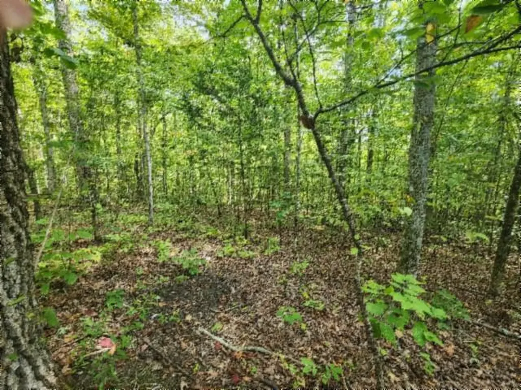 16.22AC Glenobey Road Jamestown TN 38556